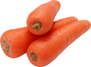 Carrot PNG image-4981